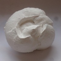 vrac mars 2014 107